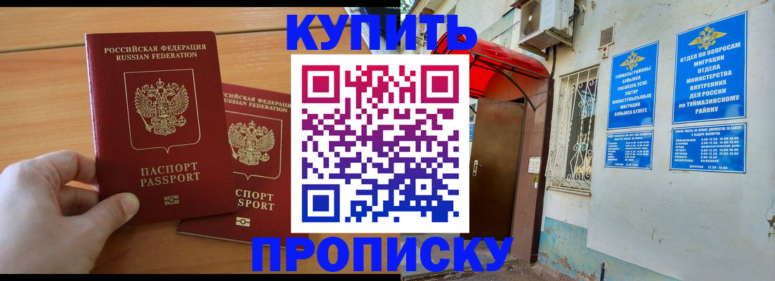 прописка штамп в Кингисеппе